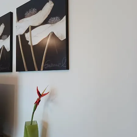 Apartment Pineto Makarska
